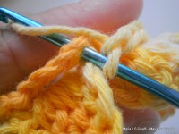 pap flor estrela da manh+ú 048