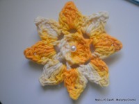 pap flor estrela da manh+ú 049