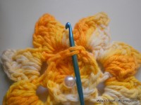 pap flor estrela da manh+ú 052