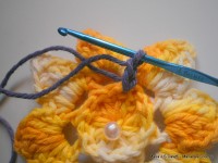 pap flor estrela da manh+ú 054