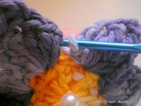 pap flor estrela da manh+ú 058