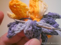 pap flor estrela da manh+ú 061