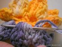 pap flor estrela da manh+ú 063