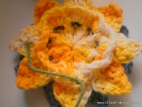 pap flor estrela da manh+ú 065