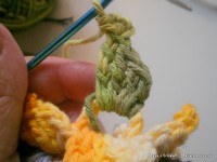 pap flor estrela da manh+ú 066