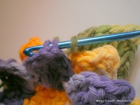 pap flor estrela da manh+ú 069