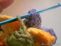 pap flor estrela da manh+ú 073