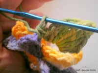 pap flor estrela da manh+ú 078