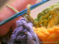 pap flor estrela da manh+ú 086