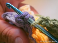 pap flor estrela da manh+ú 088