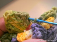 pap flor estrela da manh+ú 090