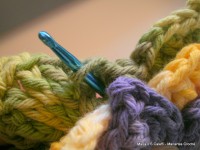 pap flor estrela da manh+ú 094