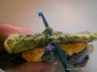 pap flor estrela da manh+ú 096