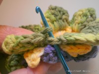 pap flor estrela da manh+ú 098