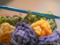 pap flor estrela da manh+ú 100