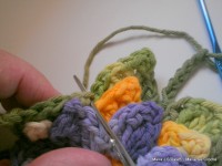 pap flor estrela da manh+ú 111