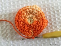 Flor escamas passo a passo (68)