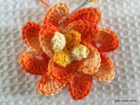 Mega flor escamas passo a passo (50)