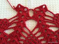 Toalha vermelha passo a passo (100)