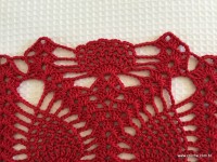 Toalha vermelha passo a passo (101)