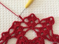 Toalha vermelha passo a passo (104)