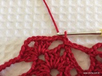 Toalha vermelha passo a passo (104)