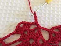 Toalha vermelha passo a passo (106)