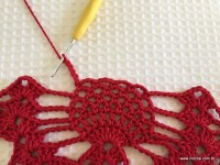 Toalha vermelha passo a passo (110)