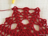 Toalha vermelha passo a passo (114)