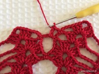 Toalha vermelha passo a passo (115)