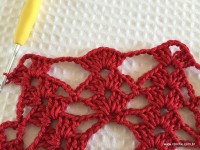 Toalha vermelha passo a passo (116)