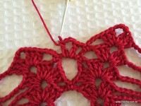 Toalha vermelha passo a passo (117)