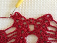 Toalha vermelha passo a passo (121)