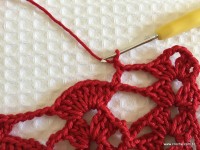 Toalha vermelha passo a passo (123)