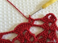 Toalha vermelha passo a passo (124)