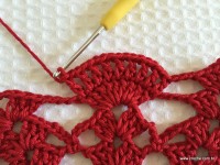 Toalha vermelha passo a passo (125)