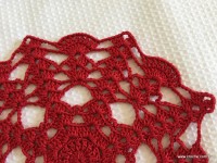 Toalha vermelha passo a passo (129)