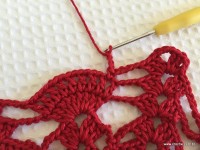 Toalha vermelha passo a passo (135)