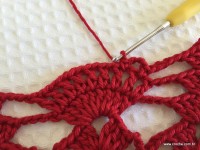 Toalha vermelha passo a passo (136)