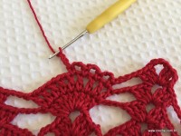 Toalha vermelha passo a passo (137)