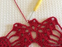 Toalha vermelha passo a passo (137)