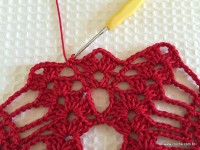 Toalha vermelha passo a passo (138)