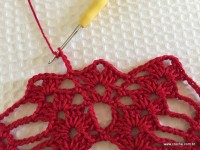 Toalha vermelha passo a passo (139)