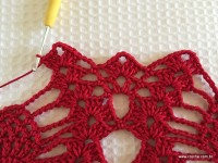 Toalha vermelha passo a passo (140)