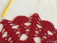 Toalha vermelha passo a passo (141)