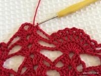 Toalha vermelha passo a passo (143)