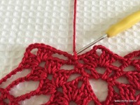 Toalha vermelha passo a passo (144)