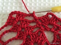 Toalha vermelha passo a passo (145)