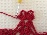 Toalha vermelha passo a passo (146)