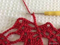 Toalha vermelha passo a passo (146)